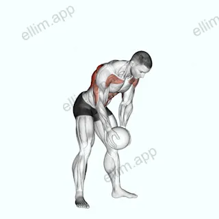 Medicine Ball Catch and Overhead Throw exercise targeting Back and Latissimus Dorsi