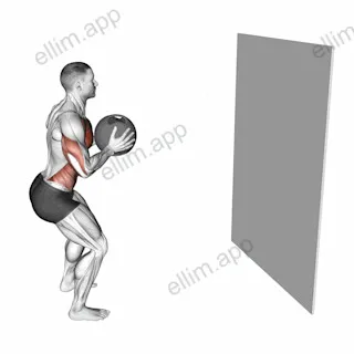 Medicine Ball Chest Pass against Wall exercise targeting Chest