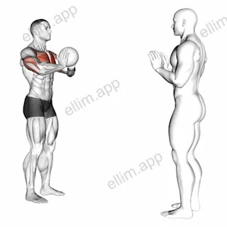 Medicine Ball Chest Pass exercise targeting Chest and Pectoralis Major Sternal Head