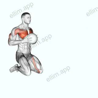 Medicine Ball Chest Push Multiple Response exercise targeting Chest and Pectoralis Major Sternal Head