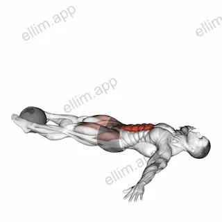 Medicine Ball Lying Leg Raise exercise targeting Waist and Iliopsoas