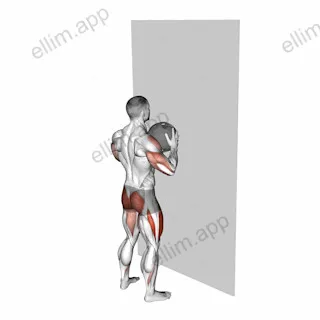 Medicine Ball Throw Squat with Wall exercise targeting Shoulders