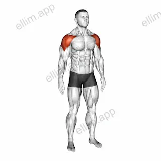 Mid Air Lateral Raises With Switching Palms exercise targeting Shoulders and Deltoid Lateral