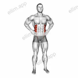 Middle Back Stretch exercise targeting Waist and Obliques