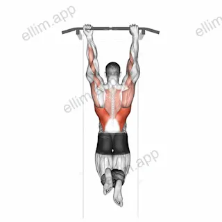 Mixed Grip Chin up exercise targeting Back