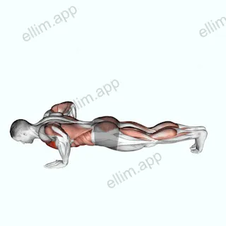 Modified Hindu Push-up exercise targeting Chest and Pectoralis Major Clavicular Head