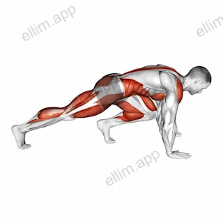 Mountain Climber Jump exercise targeting Plyometrics