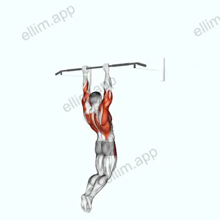 Muscle up (on vertical bar) exercise targeting Back