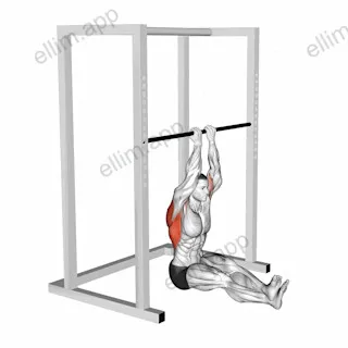 Narrow Seated Chin up exercise targeting Back