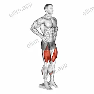 Narrow Squat from Deficit exercise targeting Gluteus Maximus and Quadriceps