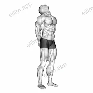 Neck Extension Stretch exercise targeting Neck