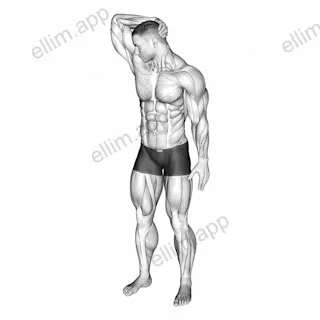 Neck Extensor And Rotational Stretch exercise targeting Neck