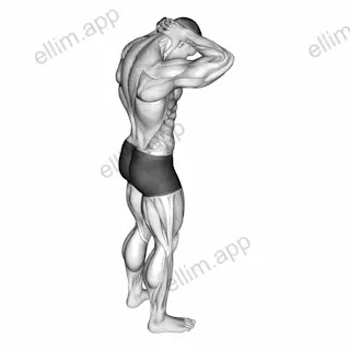 Neck Extensor Stretch exercise targeting Back