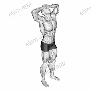 Neck Flexor Stretch exercise targeting Neck