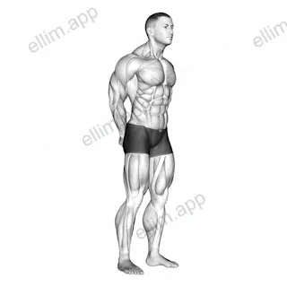 Neck Protraction Stretch exercise targeting Neck