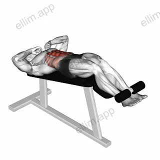 Negative Crunch exercise targeting Waist and Rectus Abdominis