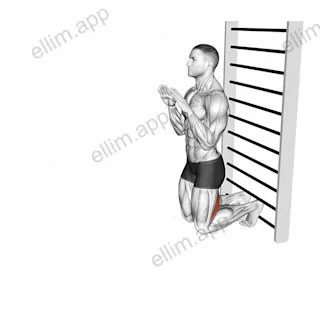 Nordic Hamstring Curl exercise targeting Thighs