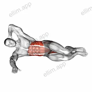 Oblique Crunches with Bent Knee Leg Lift exercise targeting Waist and Adductor Brevis