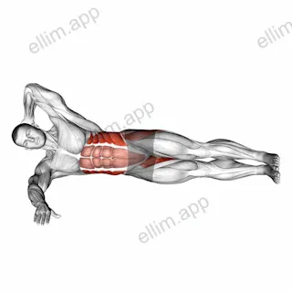 Oblique Crunches with Straight Leg Lift exercise targeting Waist and Adductor Brevis