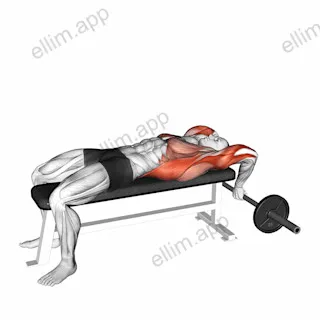 Old School Reverse Extensions exercise targeting Latissimus Dorsi and Triceps Brachii
