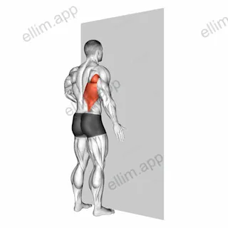 One Arm Against Wall exercise targeting Back and Latissimus Dorsi