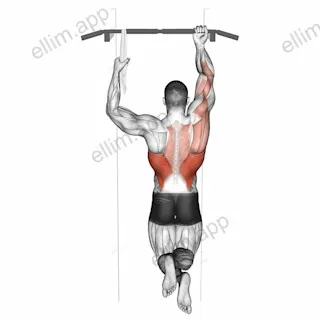 One Arm Chin Up exercise targeting Back