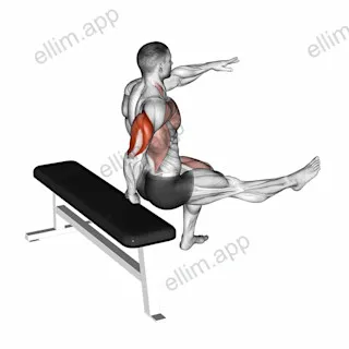 One Arm Dip exercise targeting Upper Arms and Triceps Brachii