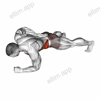 One Arm Front Plank exercise targeting Waist and Obliques