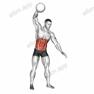 One Arm Slam (with medicine ball) exercise targeting Waist and Obliques