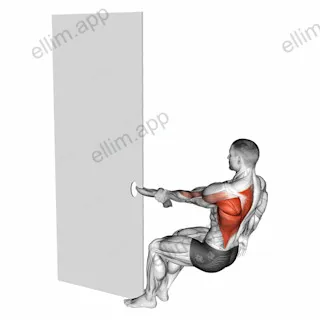 One Arm Towel Row exercise targeting Back