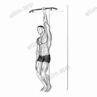 One Handed Hang exercise targeting Back and Latissimus Dorsi