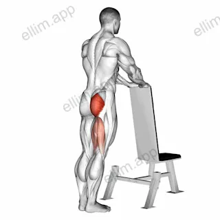 One leg kickback (with bench support) exercise targeting Hips and Gluteus Maximus
