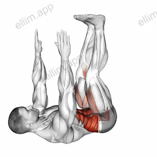 Opposite Crunch exercise targeting Waist and Iliopsoas