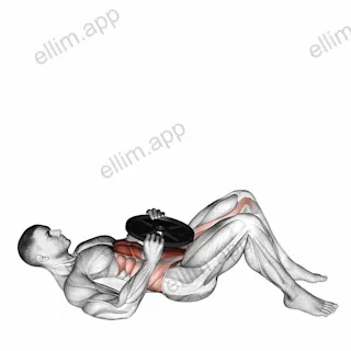 Otis Up exercise targeting Waist and Iliopsoas