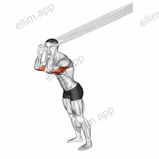 Overhead Triceps Extension with Bed Sheet exercise targeting Upper Arms and Triceps Brachii