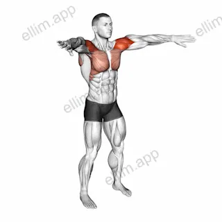 Palm-up Palm-down Rotation exercise targeting Shoulders