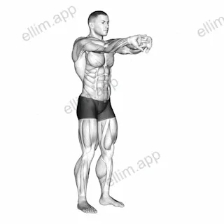 Palms Out Forearm Stretch exercise targeting Forearms