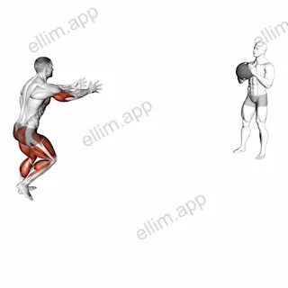 Partner Shuffle exercise targeting Plyometrics