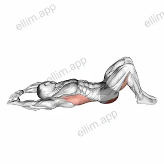 Pelvic Tilt Into Bridge exercise targeting Hips and Gluteus Maximus