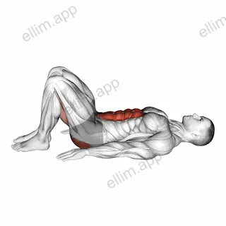 Pelvic Tilt exercise targeting Waist and Gluteus Maximus