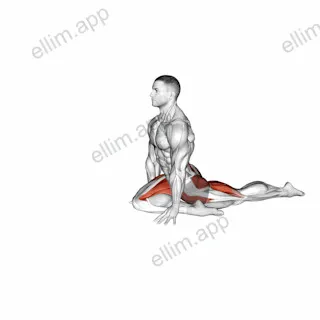Pigeon Hip Stretch exercise targeting Hips and Adductor Brevis