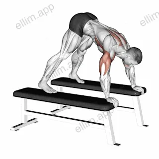 Pike Press (between benches) exercise targeting Shoulders and Deltoid Anterior