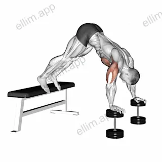 Pike Push-up (on Bench) exercise targeting Chest
