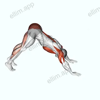Pike to Cobra Push-up exercise targeting Chest and Hips