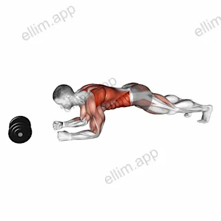 Plank Alternate Anti Gravity Pull up exercise targeting Waist