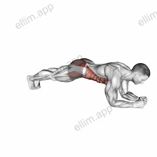 Plank Jack on Elbows exercise targeting Plyometrics