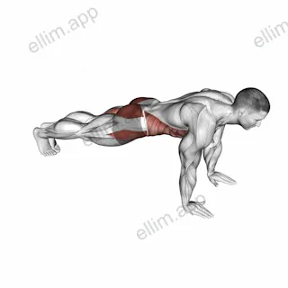 Plank Jack exercise targeting Waist and Gluteus Maximus