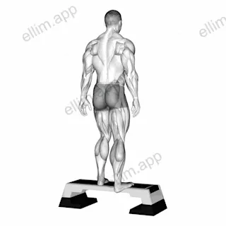 Plantar Flexor And Foot Inverter Stretch exercise targeting Calves