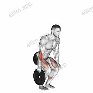 Plate Pinch exercise targeting Forearms and Wrist Extensors