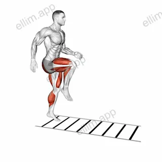 Plyometric Agility Drill exercise targeting Plyometrics